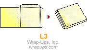 L3